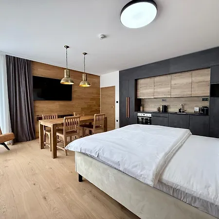 Elsa Spa Apartments Tux Room photo